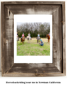 horseback riding near me in Newman, California